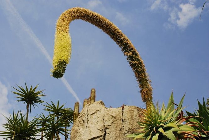 Private Tour: Personal Travel Photographer Tour in Monaco - Good To Know