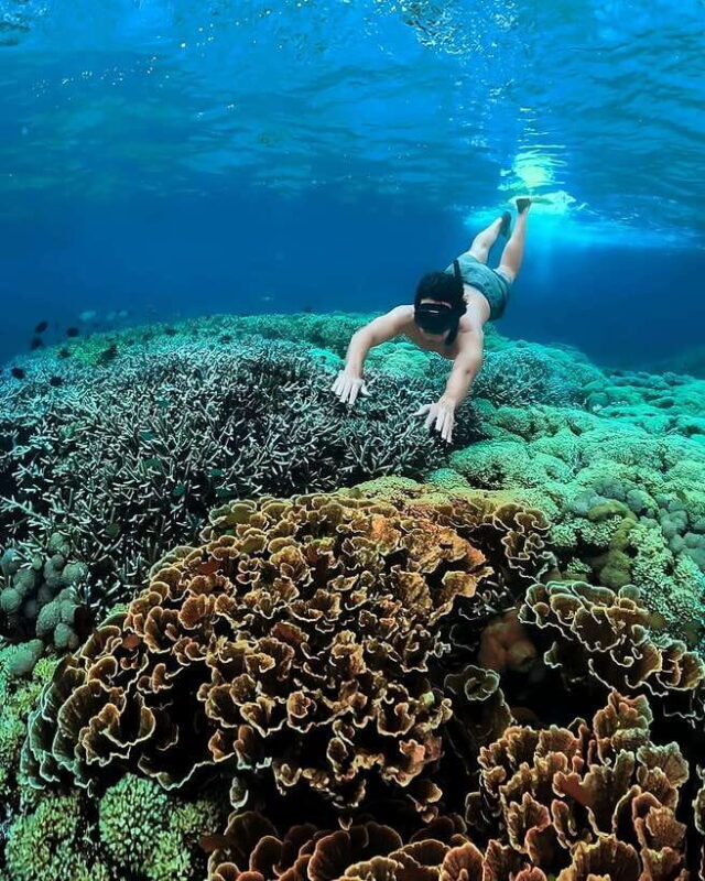 "Private Tour: Pink Beach Lombok Gili Islands & Sand Island" - A Practical Look at the Tour