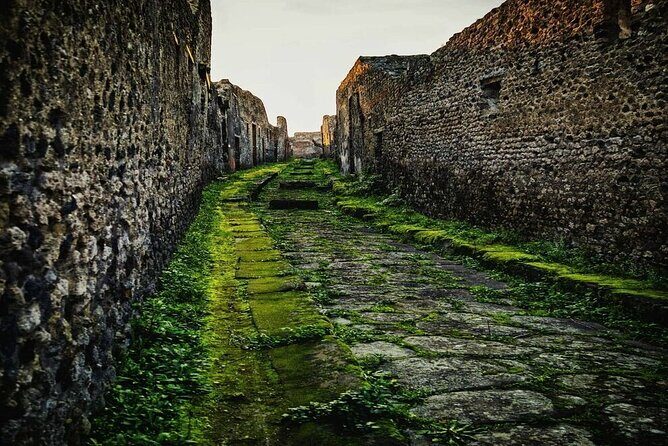 Private Tour Pompeii and Sorrento from Naples - FAQ