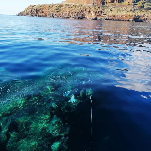 Private tour | Ponta de São Lourenço (Scuba & Snorkeling) - The Trip’s Drawbacks