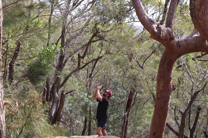 Private tour: Port Stephens, departing Newcastle - Whales! - Practicalities and Value