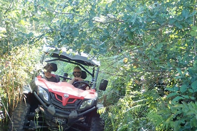 Private Tour Porto Buggy Adventure - Ask Away