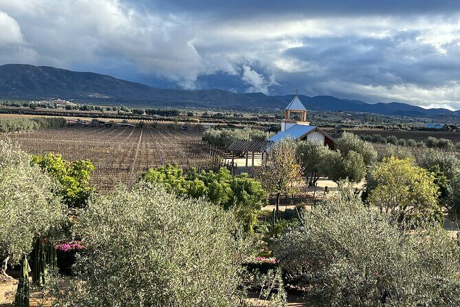 Private Tour Premium Wineries in the Valle de Guadalupe - FAQ