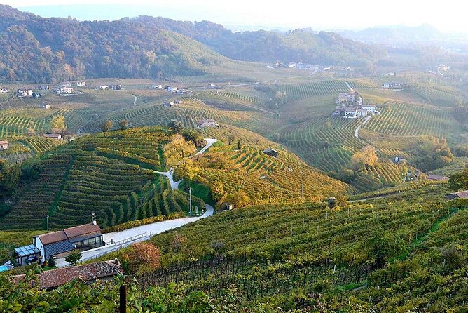 Private Tour: Prosecco Wine Tasting Day Trip With Lunch From Venice - Accessibility Information