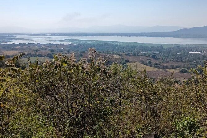 Private Tour Pyramids Guachimontones and Tequila and Swing Xtremo - FAQ