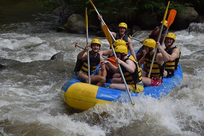 Private Tour Rafting Uluwatu Kecak Dance Sunset and Dinner in Jimbaran Bay - Customer Reviews and Ratings