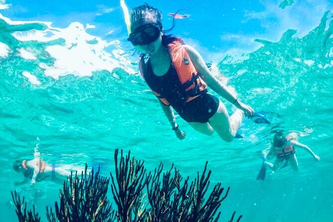 Private Tour Reefs and Corals Puerto Morelos Snorkel Lunch - Considerations and Practical Tips