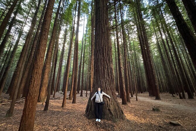 Private Tour: Rotorua Adventure, Kiwi Hatchery & Mori Culture - Who Will Benefit Most from This Tour?