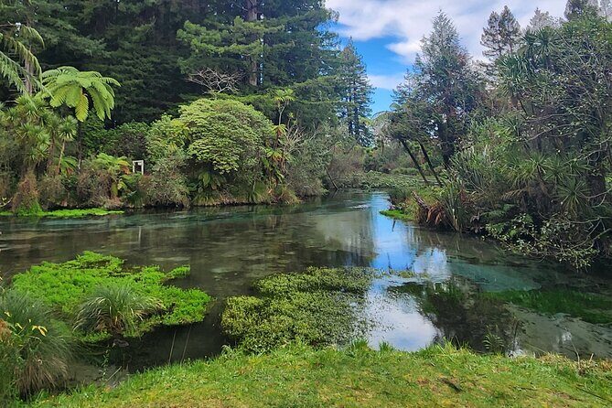 Private Tour Rotorua + Blue springs + WaiOtapu + Redwood forest - Authentic Experience Highlights