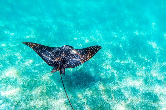 Private Tour - Sian Ka'An Adventure - Pickup Information