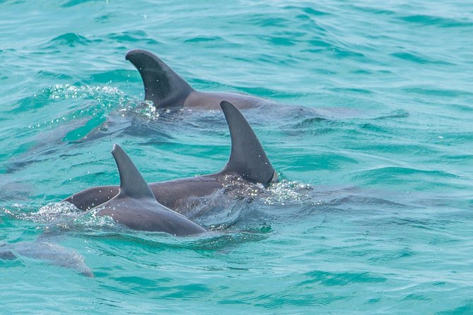 Private Tour - Sian Ka'An Adventure - Booking and Cancellation