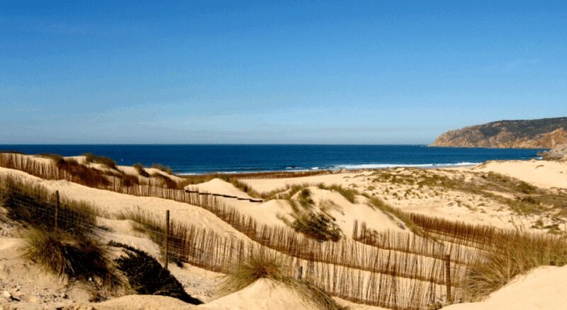 Private Tour : Sintra, Pena palace, Cabo da roca, Cascais - Final Recommendations