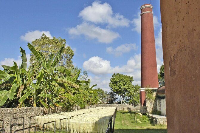 Private Tour: Sotuta de Peon Hacieda Day Trip - An In-Depth Look at the Sotuta de Peon Day Trip