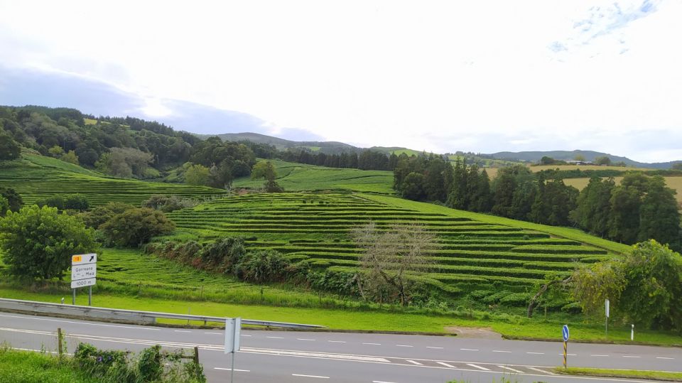 Private Tour South & North Coast Views - Pricing and Duration