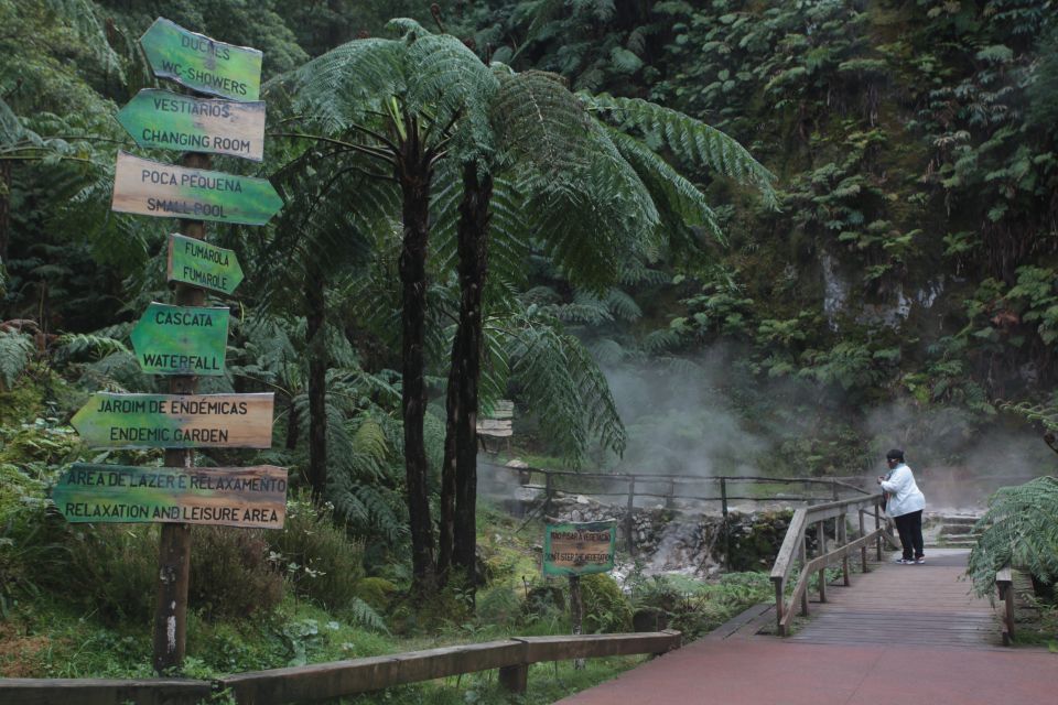 Private Tour South & North Coast Views - Experience Description
