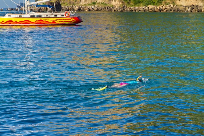 Private Tour St Lucia to Snorkel at Anse Chastanet Beach - Key Points