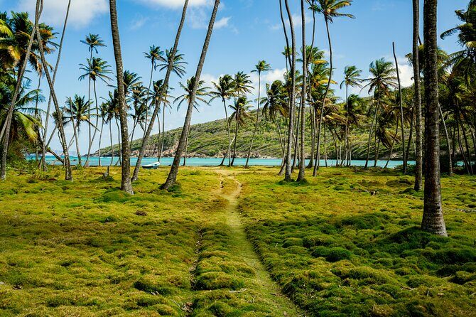 Private Tour St Vincent Half Day - Who Should Consider This Tour?