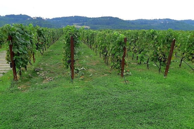 PRIVATE TOUR: Sweet Hills of Chianti & Siena + Lunch & 2 Tastings - Pricing and Availability