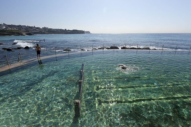 Private Tour: Sydney Beaches, Baths & Rockpools - Who Should Book This Tour?