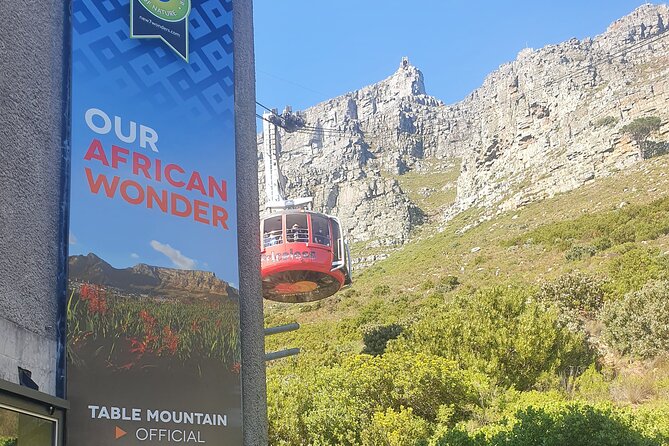 Private Tour: Table Mountain Boulders Beach Penguin Cape Point - Booking and Cancellation Policy
