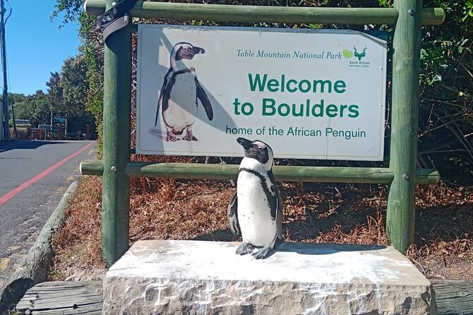 Private Tour: Table Mountain Boulders Beach Penguin Cape Point - Boulders Beach Penguin Colony