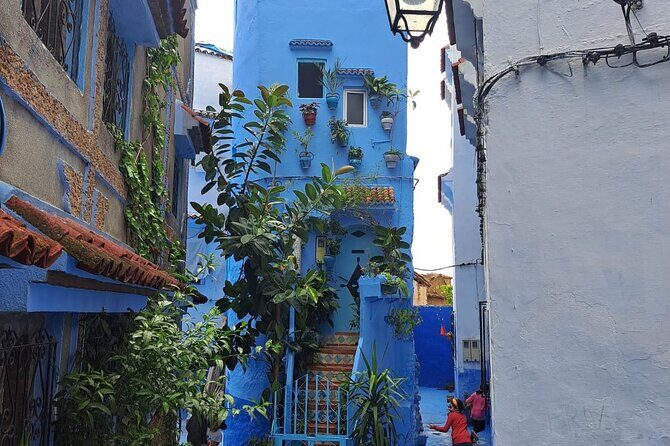 Private Tour: Tangier From Malaga. Breakfast and Lunch Included - Final Thoughts