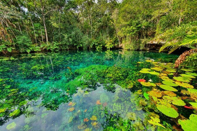 Private Tour Tankah 3 Zip Lines 3 Cenotes Canoe Snorkel Community - Setting the Scene: What to Expect from the Experience