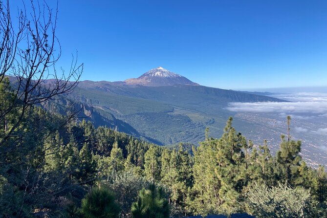 Private Tour Teide National Park Minimun 3 Persons - Reviews and Ratings