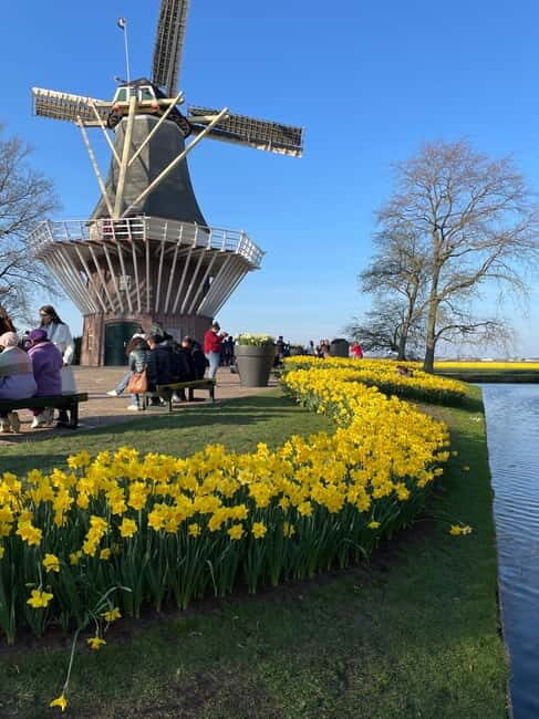 Private Tour, Tesla from Amsterdam: Keukenhof & Tulip Fields - Why This Tour Stands Out