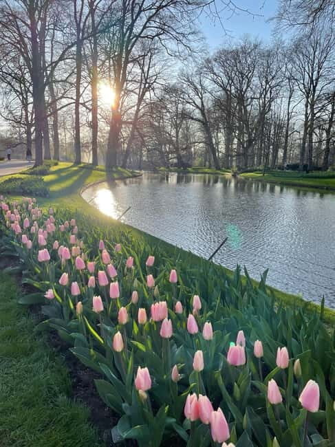 Private Tour, Tesla from Amsterdam: Keukenhof & Tulip Fields - Authentic Insights from Reviews