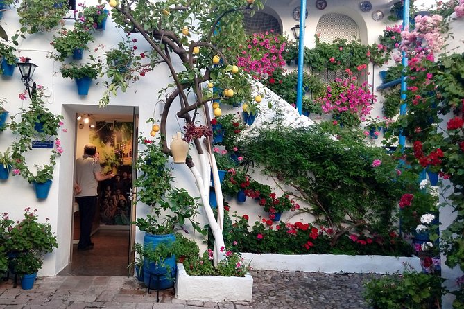 Private Tour: the Courtyards of Cordoba - Tour Inclusions and Exclusions