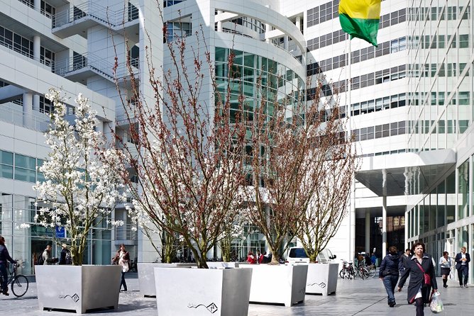 Private Tour: The Hague Walking Tour Including Peace Palace Visitors Center - Tour Experience