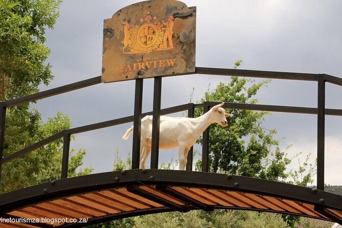 Private Tour to 20 Wine Tasting in Stellenbosch and Franschhoek - Meeting and Pickup Information