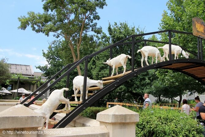 Private Tour to 20 Wine Tasting in Stellenbosch and Franschhoek - Booking Process and Policies