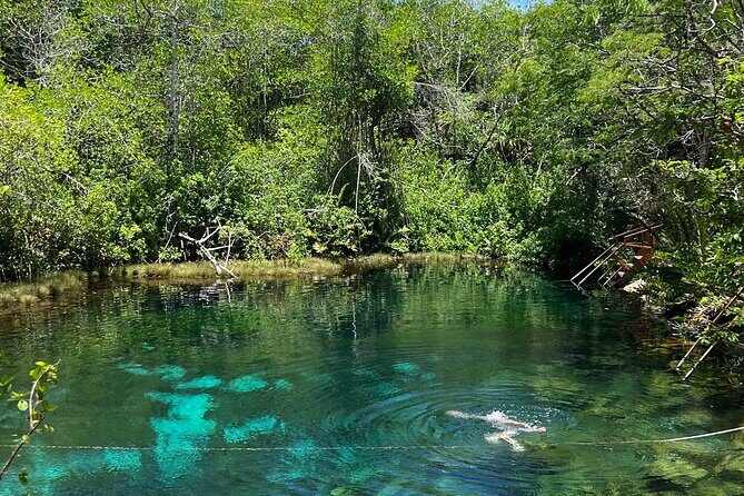 Private Tour to 4 Cenotes - The Sum Up