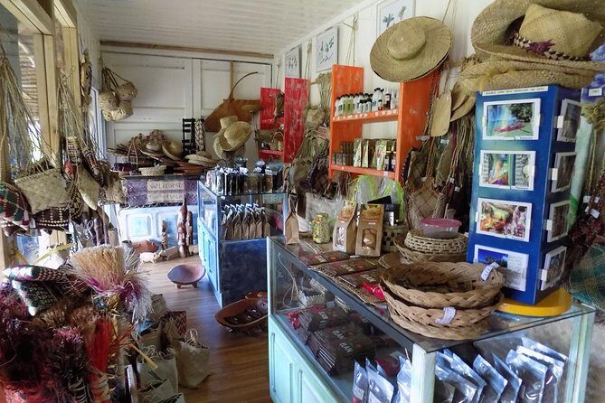 Private Tour to Aelan Chocolate Factory in Port Vila - Who Should Consider This Tour?