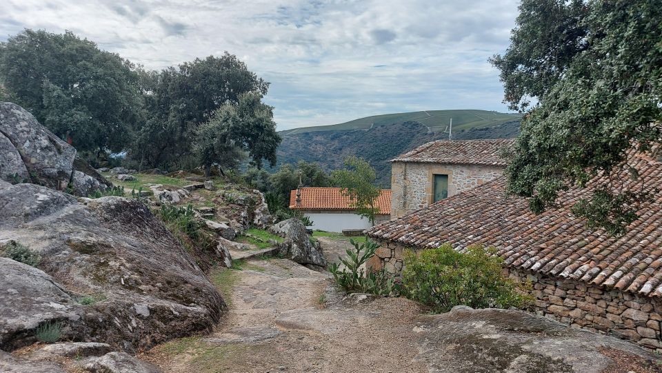Private Tour to Arouca 516 Bridge and Paiva Walkways - Optional Activities