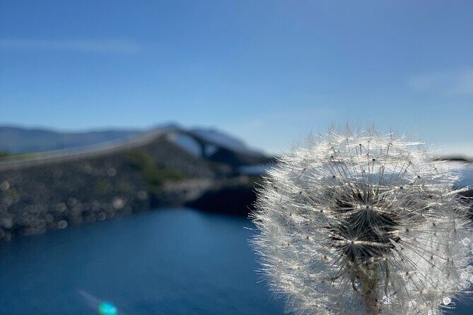 Private Tour to Atlantic Road from Ålesund groups 1 to 40 - What Travelers Are Saying