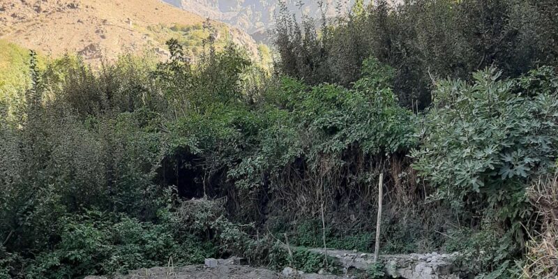 Private Tour to Atlas Mountains From Marrakech - Exploring Berber Village