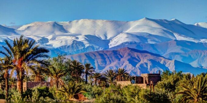 Private Tour to Atlas Mountains From Marrakech - Savoring Homemade Lunch