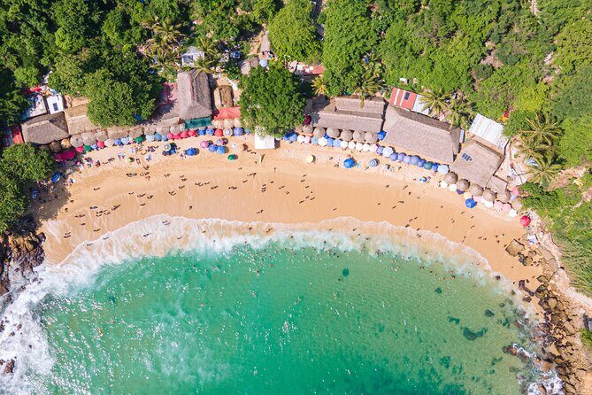 Private Tour to Carrizalillo Mirador Turtles and Release Turtles - Key Points