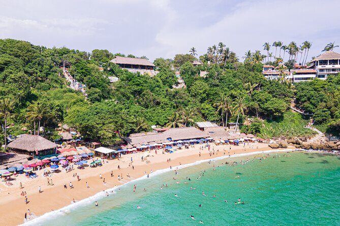 Private Tour to Carrizalillo Mirador Turtles and Release Turtles - In-Depth Look at the Itinerary