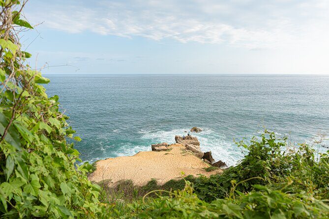 Private Tour to Carrizalillo Mirador Turtles and Release Turtles - FAQ