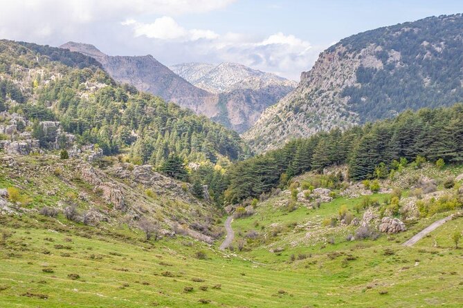 PRIVATE Tour to Cedars of God, Besharre & Qozhaya Valley - Additional Information