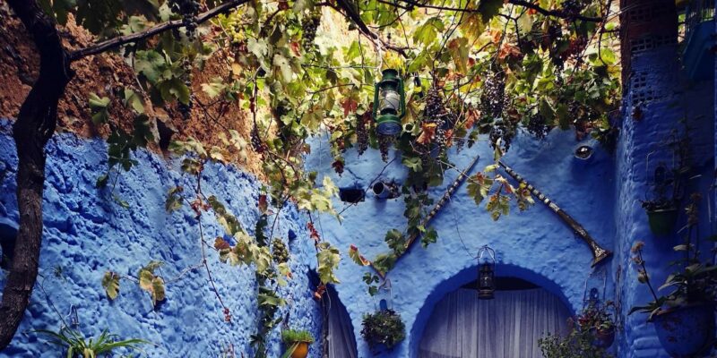 Private Tour To Chefchaouen From Fes - Medina and Landmarks