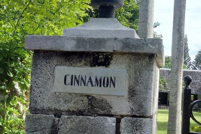 Private Tour to Cinnamon Hill Great House (Home of Johnny Cash) - The Sum Up