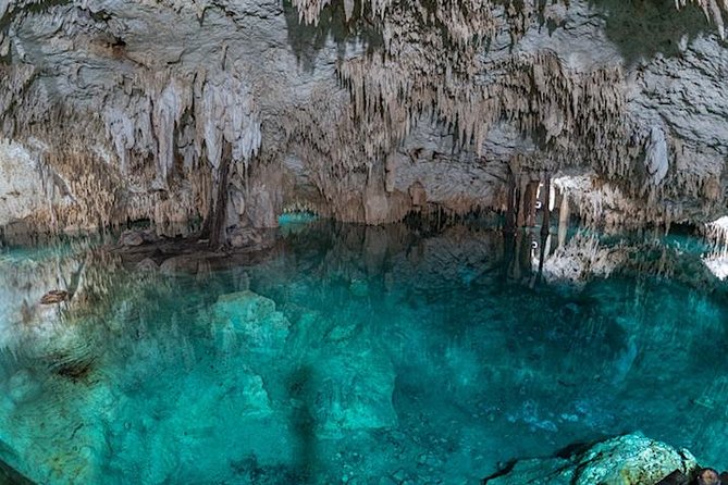 Private Tour to Coba Ruins and Swim in Cenote - Inclusions