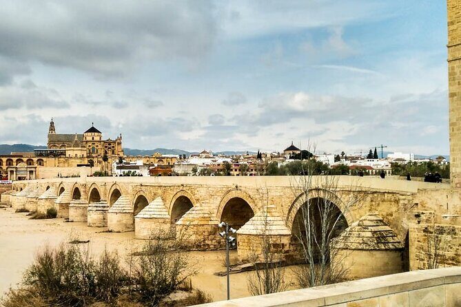 Private tour to Córdoba from Seville (several options) - A Deep Dive Into the Córdoba Private Tour Experience