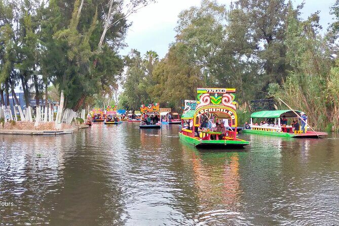 Private Tour to Coyoacán & Xochimilco. - Xochimilco’s Colorful Canals and Tranquil Boat Ride