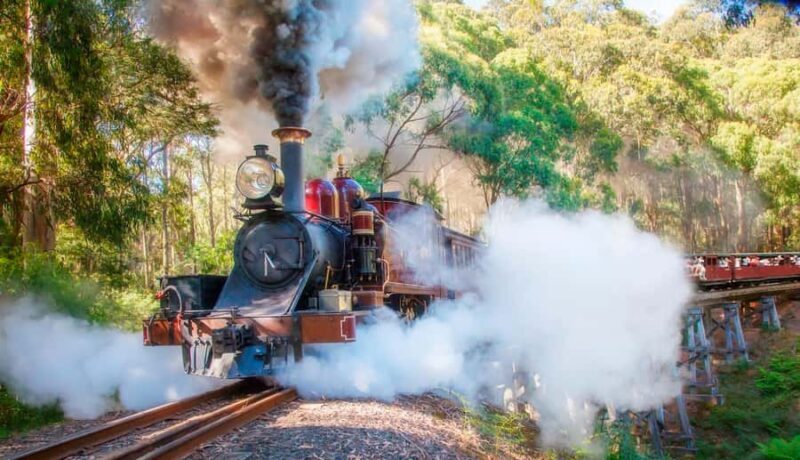 Private Tour to Dandenong Ranges & Puffing Billy Steam Train - What to Expect on the Tour